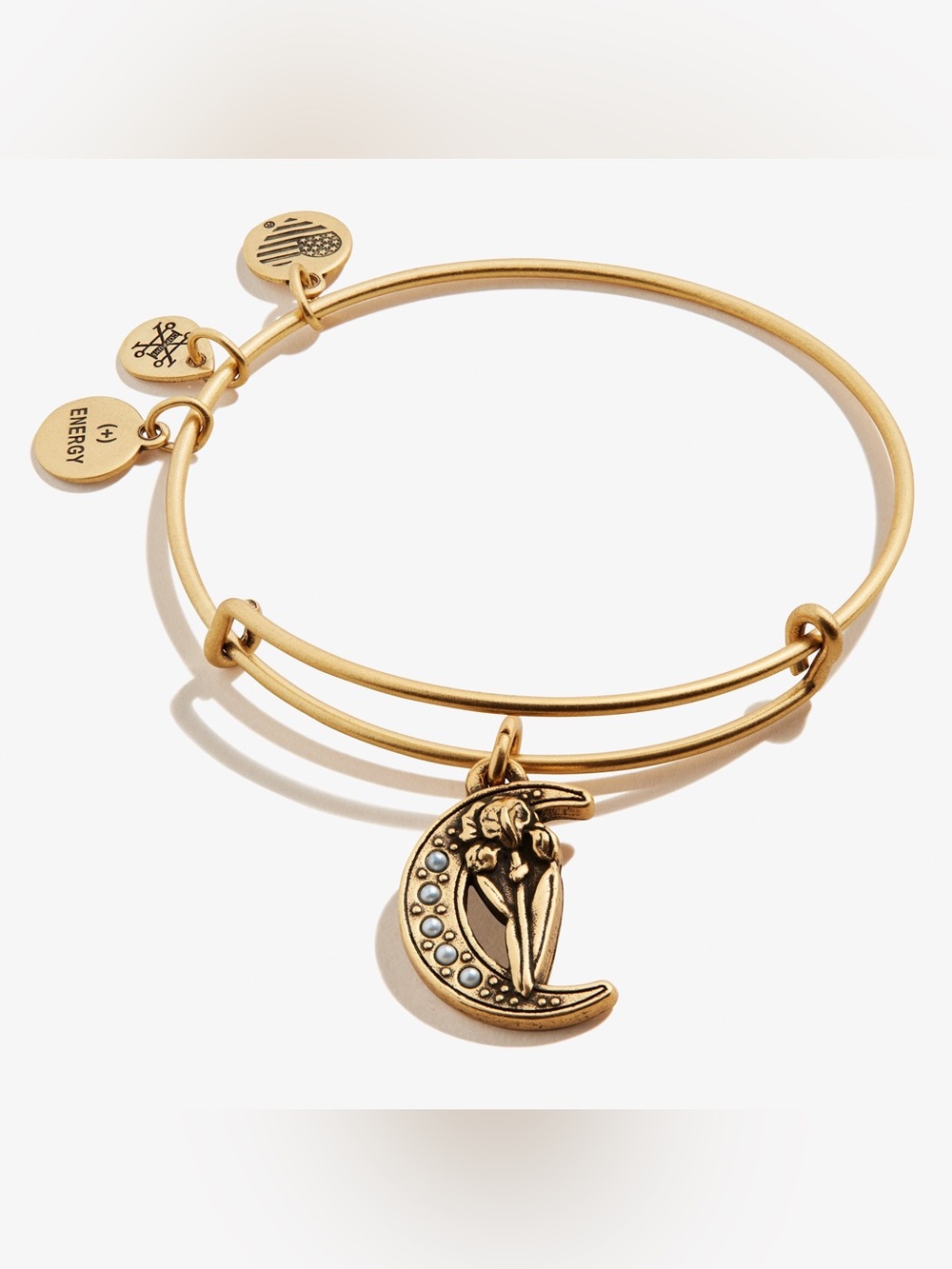 NWT Alex + Ani Moon + Iris Flower Charm Bangle